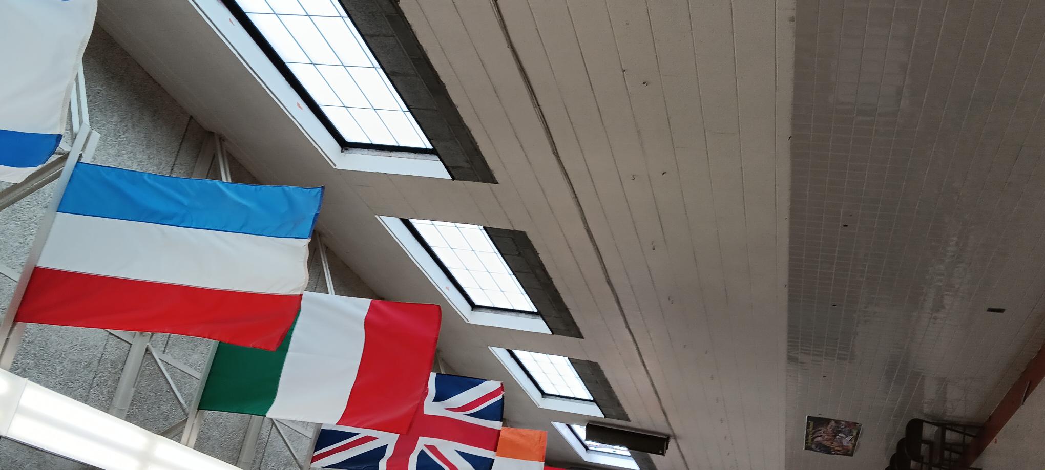 Rosemont Middle School Roof Replacement